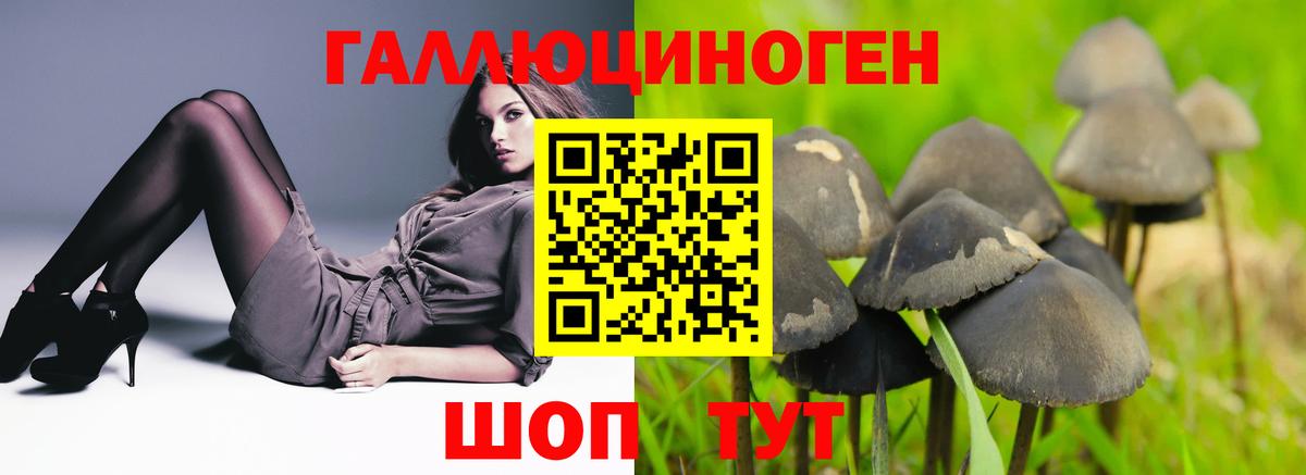 Анапа  Галлюциногенные грибы ЛСД  дарнет шоп  Вход с VPN 