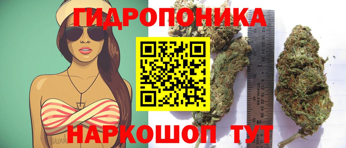 Бошки марихуана марихуана  Марихуана ГИДРОПОН  Канабис THC 21%  Вход с VPN  Анапа 